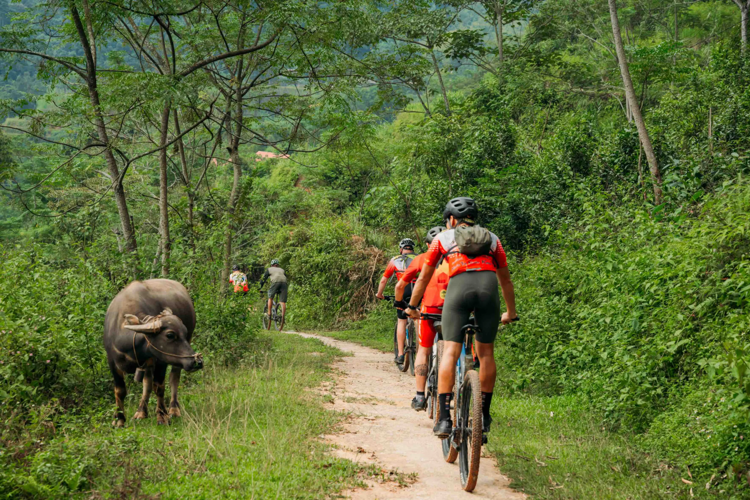 Hanoi - Sajgon Wietnam Wyprawa Rowerowa