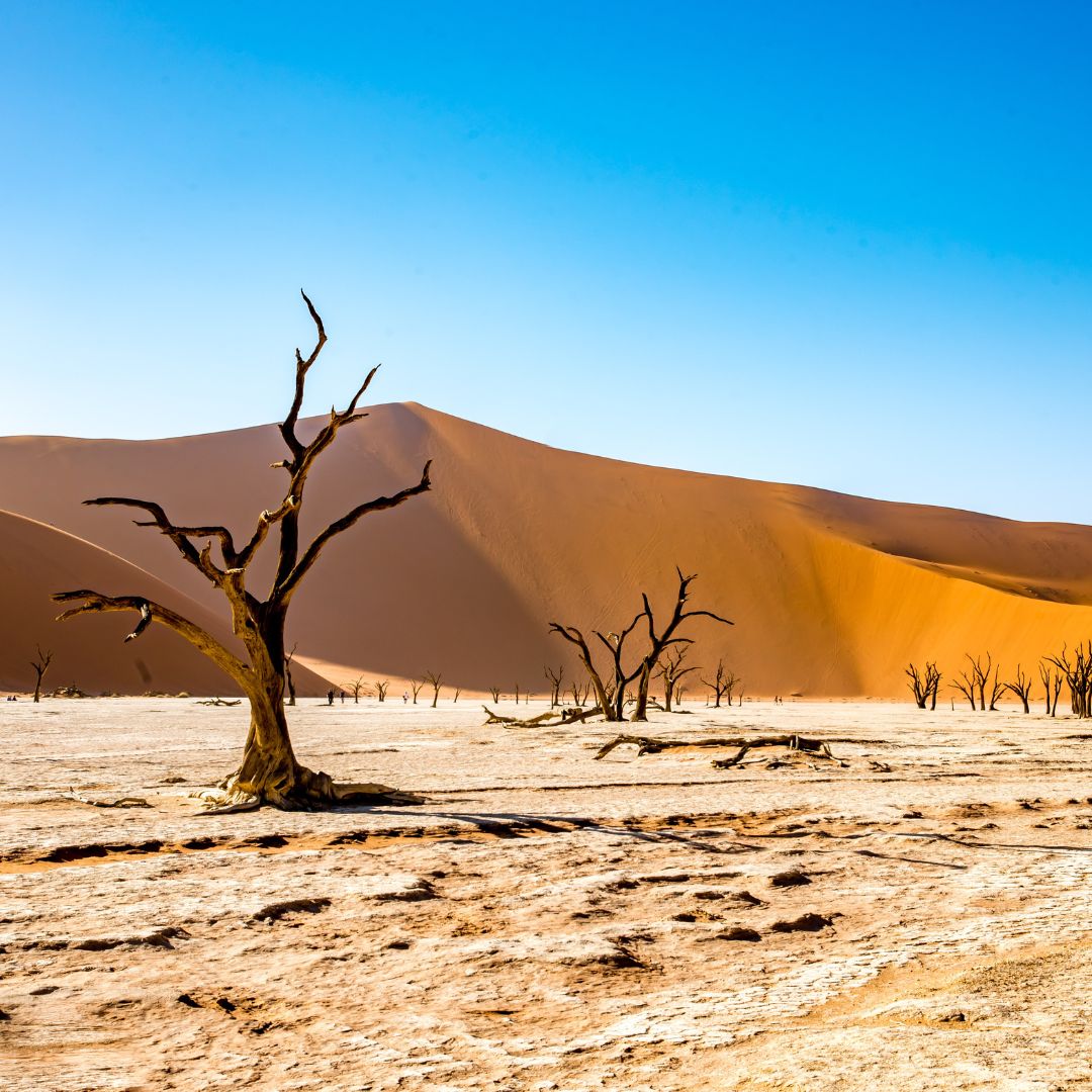 Namibia 