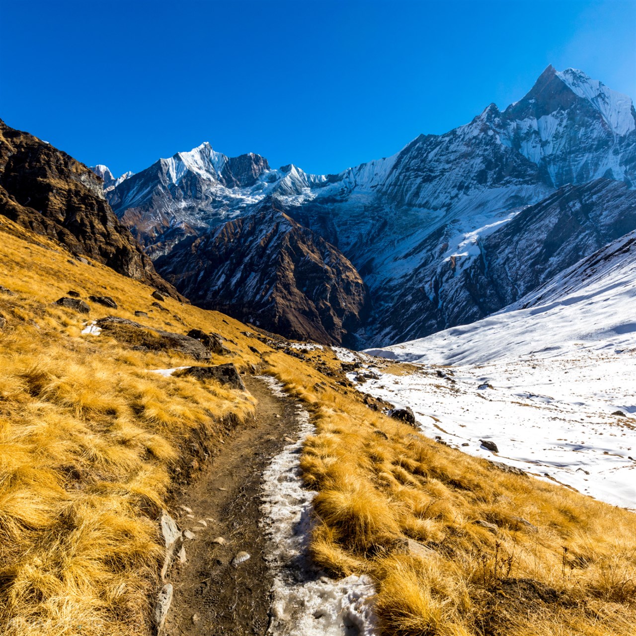 Annapurna Base Camp Trek&Joga