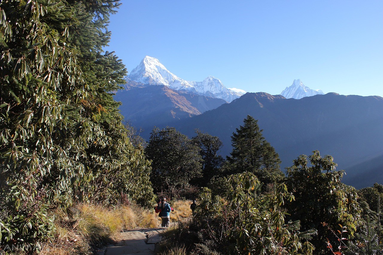 Langtang Trek - Bhutan