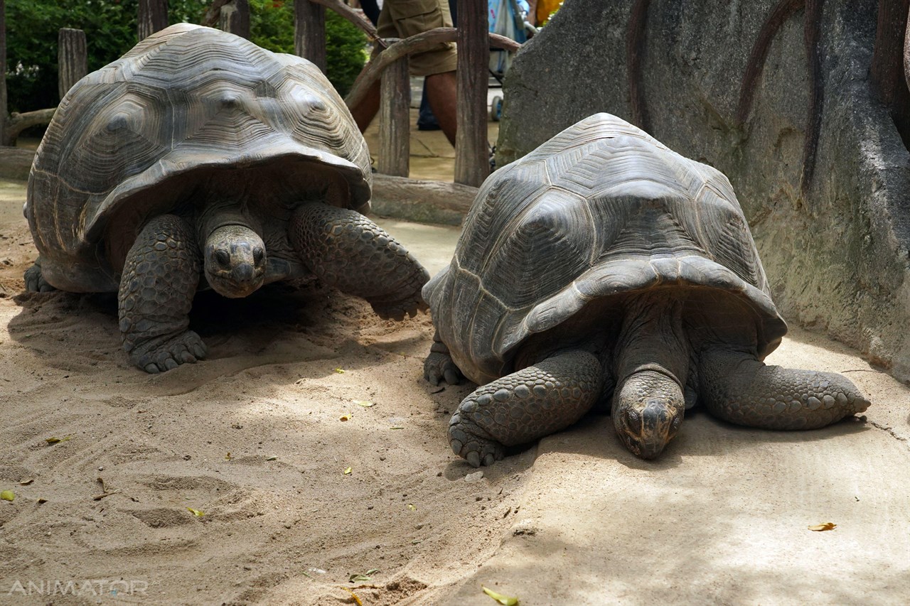Ekwador i Galapagos - w krainie wulkanów