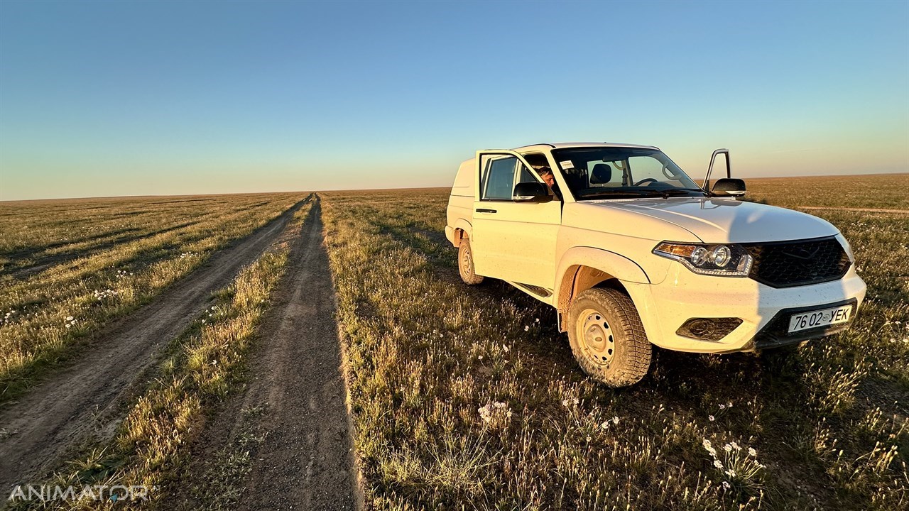 Mongolia Horyzonty Męskości