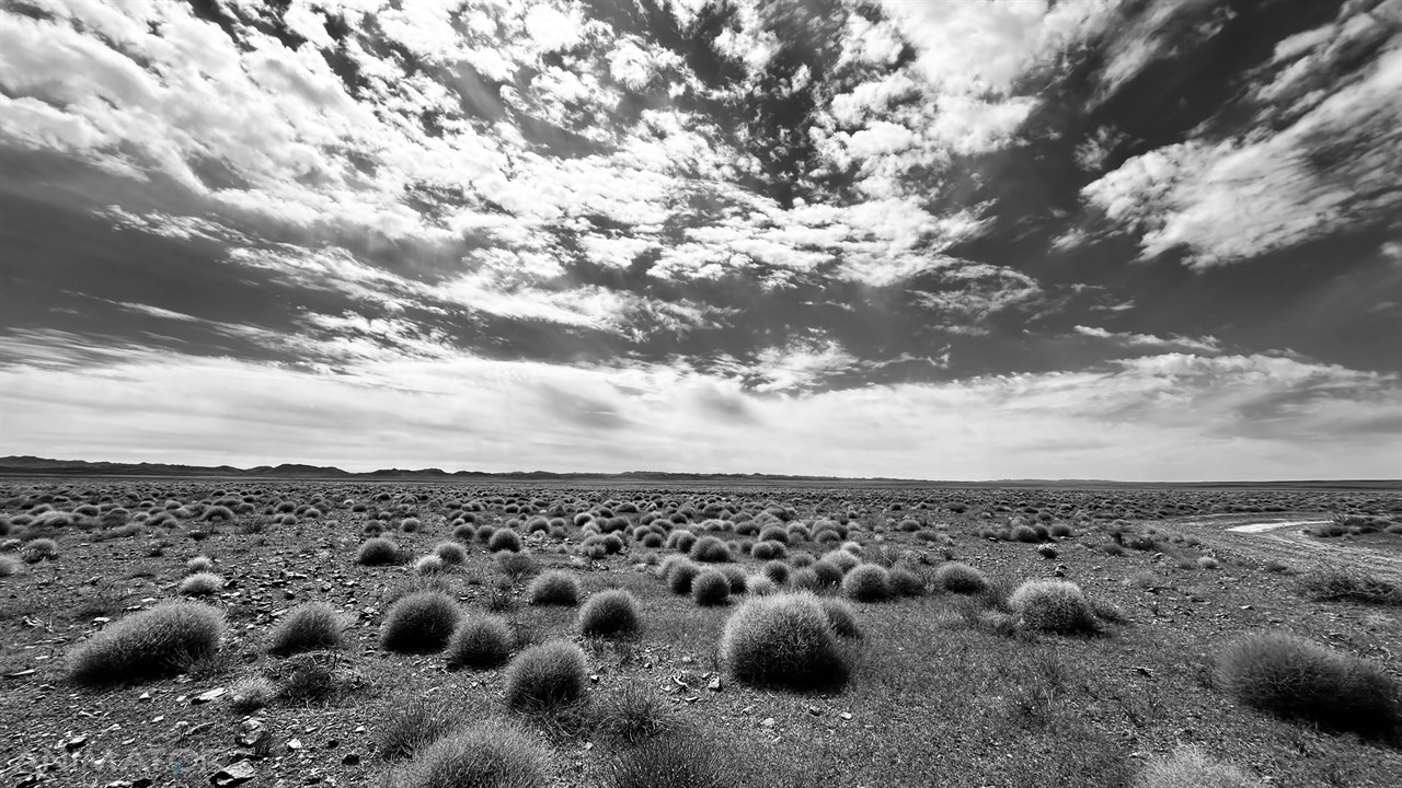 Mongolia Horyzonty Męskości