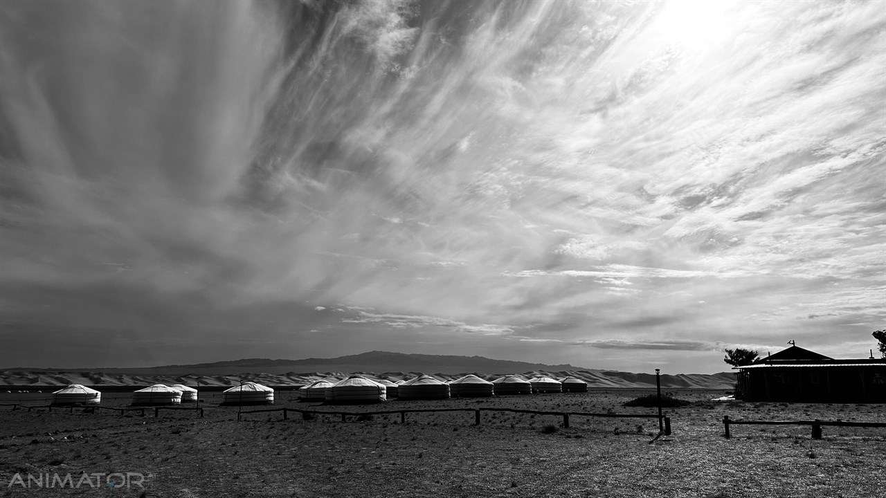 Mongolia Horyzonty Męskości