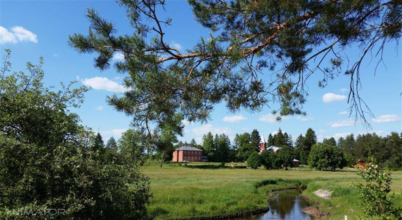 Odkryj w sobie wiedźmę!