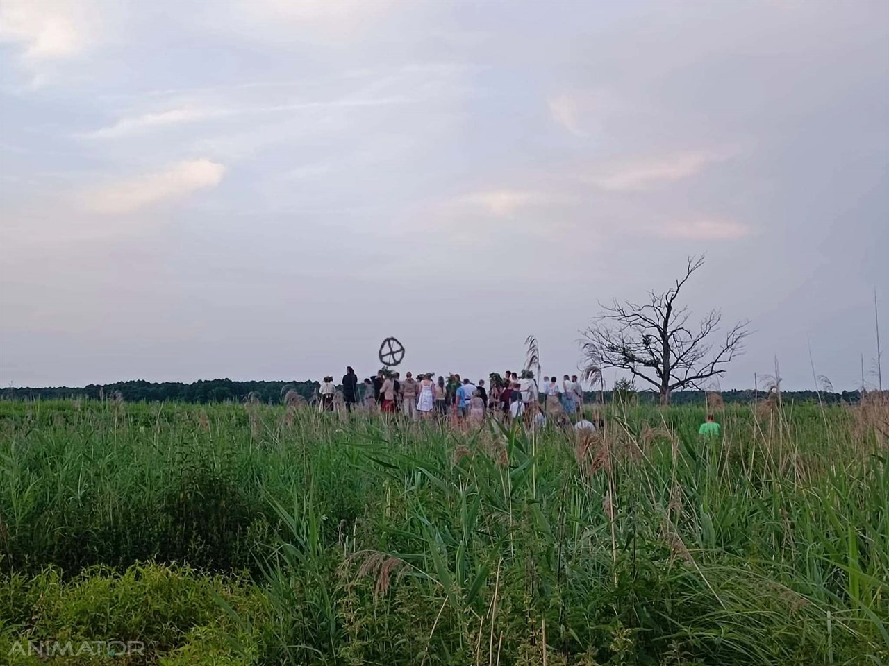 Odkryj w sobie wiedźmę!