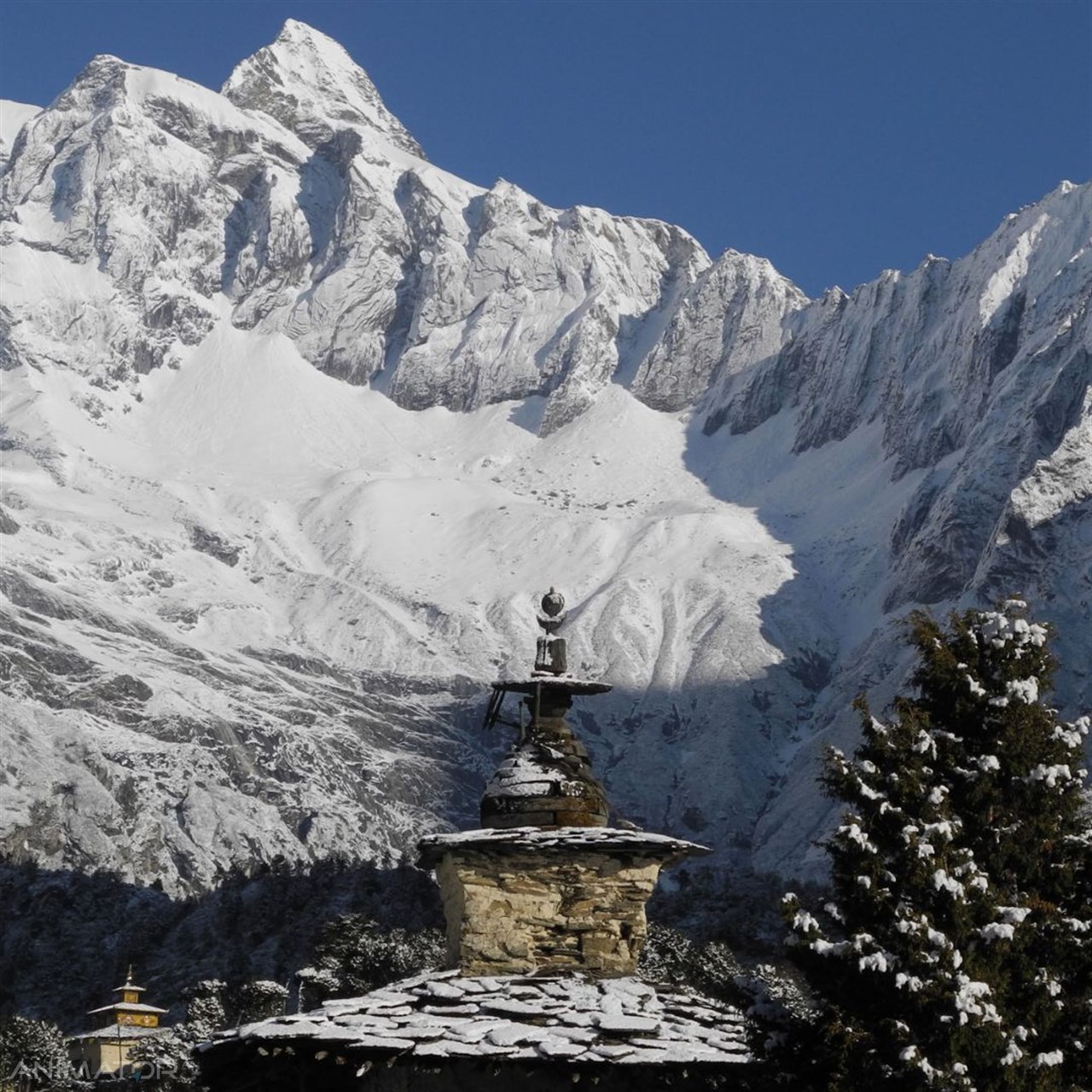 Trekking wokół Manaslu