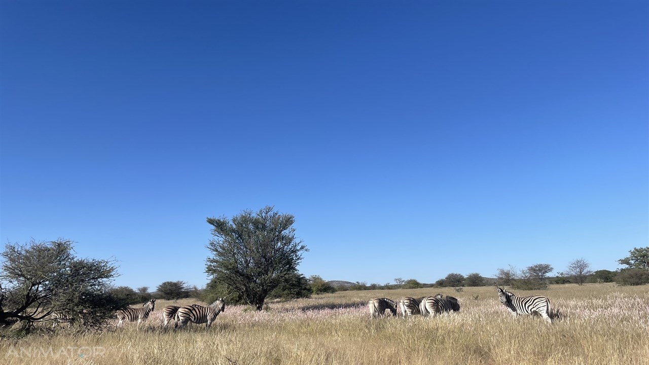 Namibia