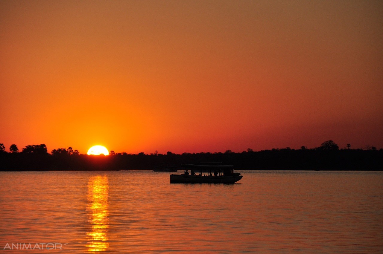 RPA - Zimbabwe - Botswana