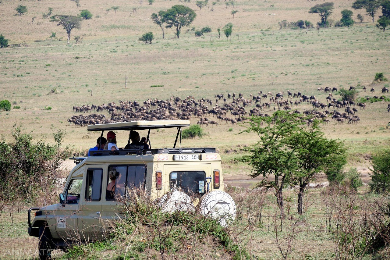RPA - Zimbabwe - Botswana