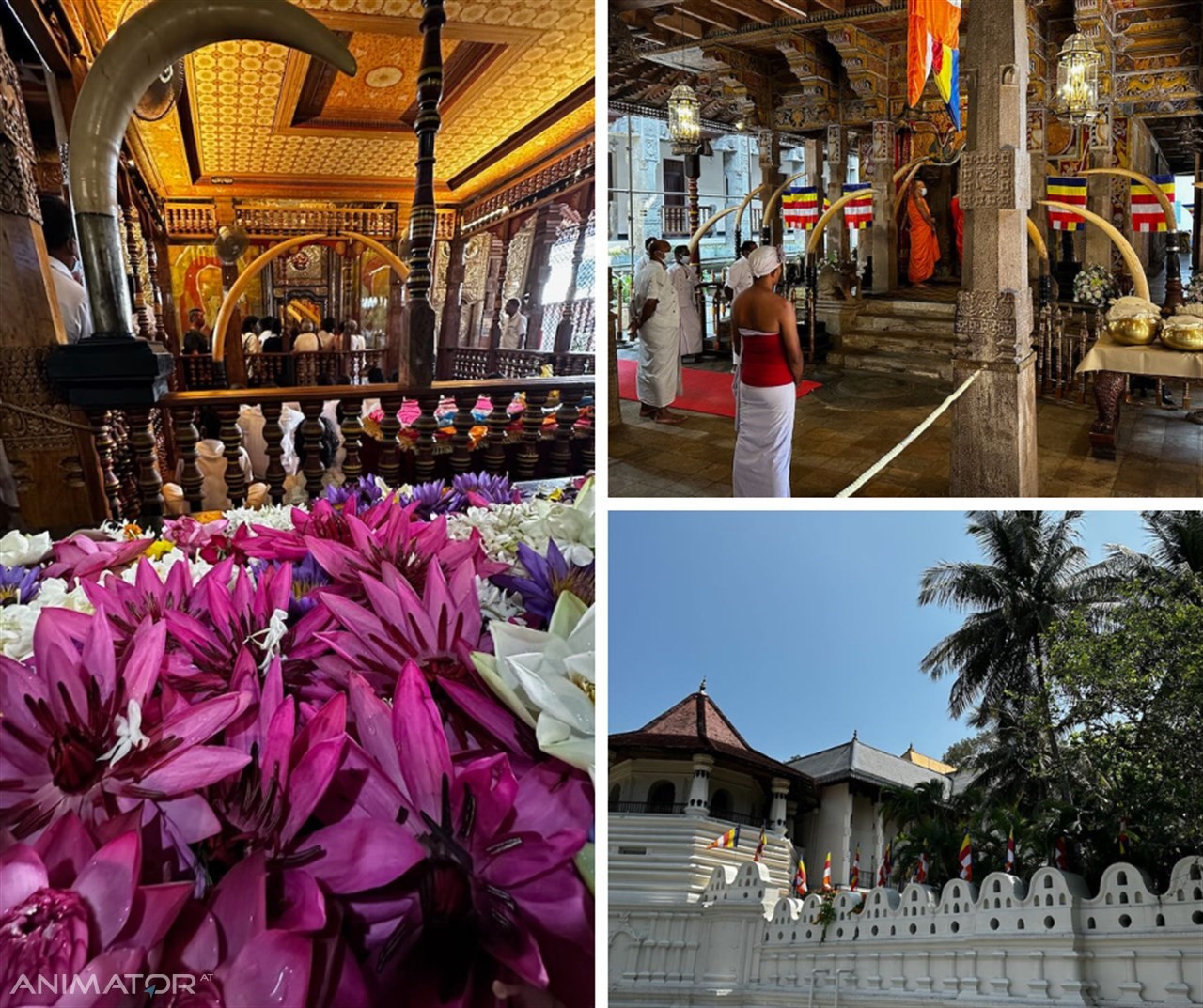 Sri Lanka - Podróże Marzeń