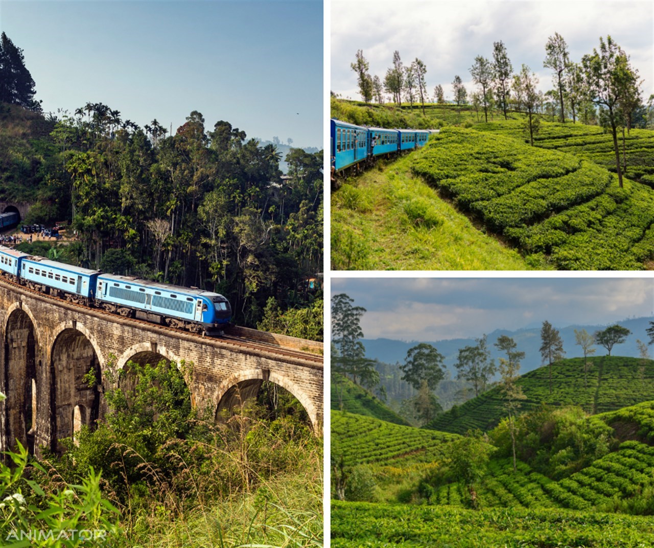 Sri Lanka - Podróże Marzeń