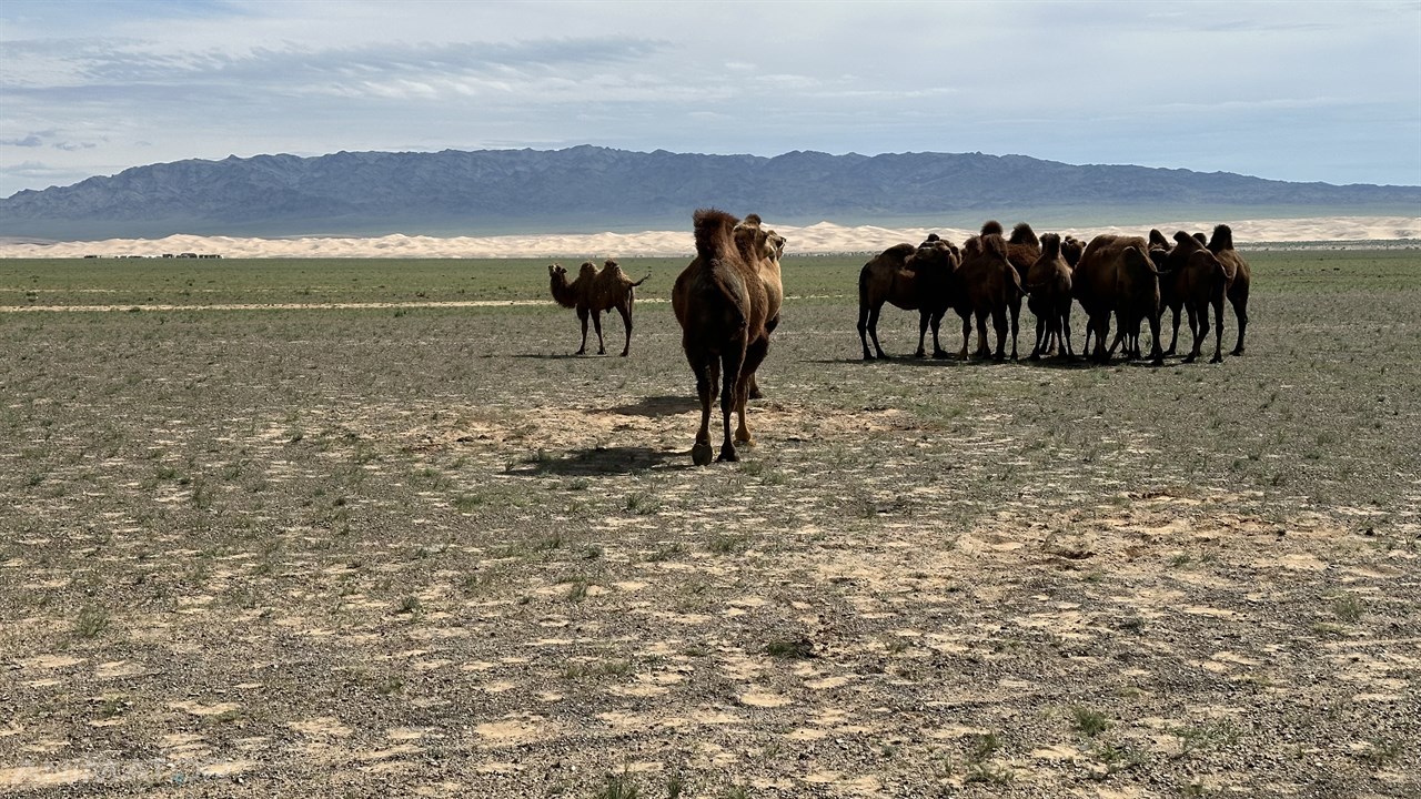 Mongolia